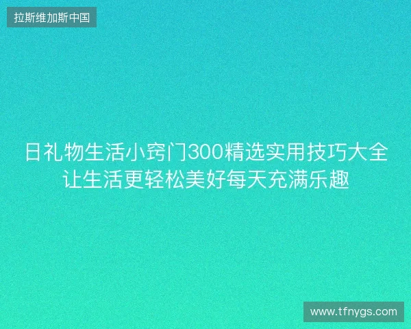日礼物生活小窍门300精选实用技巧大全让生活更轻松美好每天充满乐趣 日礼物生活小窍门300精选实用技巧大全让生活更轻松美好每天充满乐趣